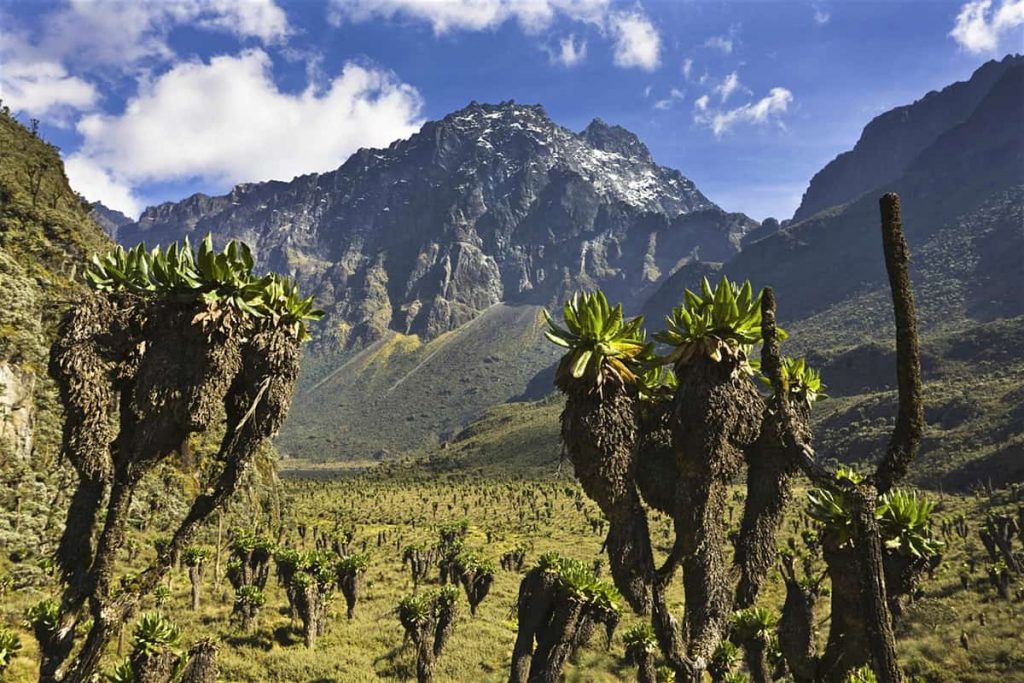 Rwenzori Mountains National Park is a Ugandan national park and UNESCO World Heritage Site located in the Rwenzori Mountains