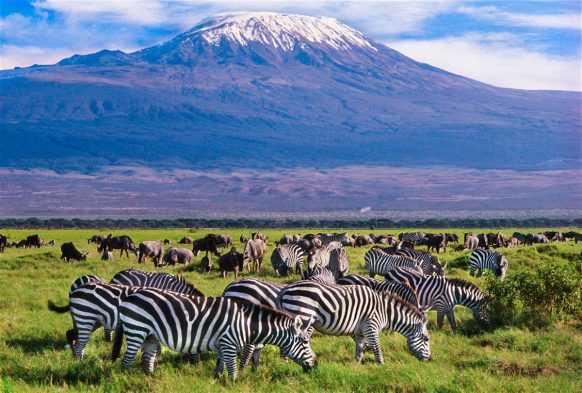 Amboseli National Park - Attractions you must visit in Kenya